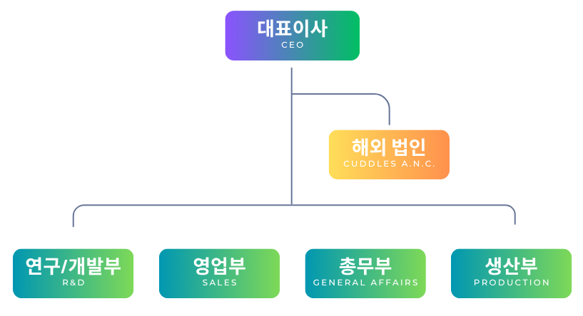 A.N.C. KOREA 조직도